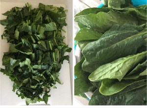 طريقة تقطيع السبانخ